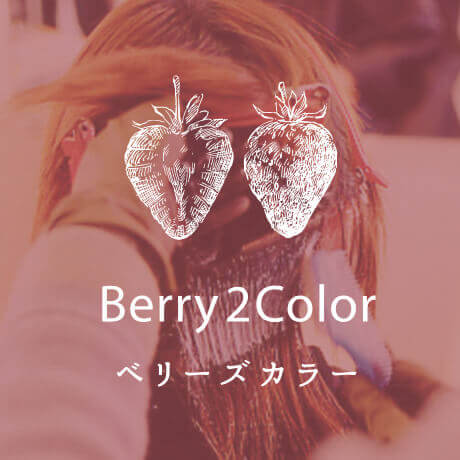 Berry2color
